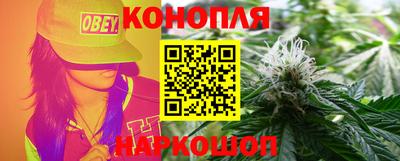 индика Можайск