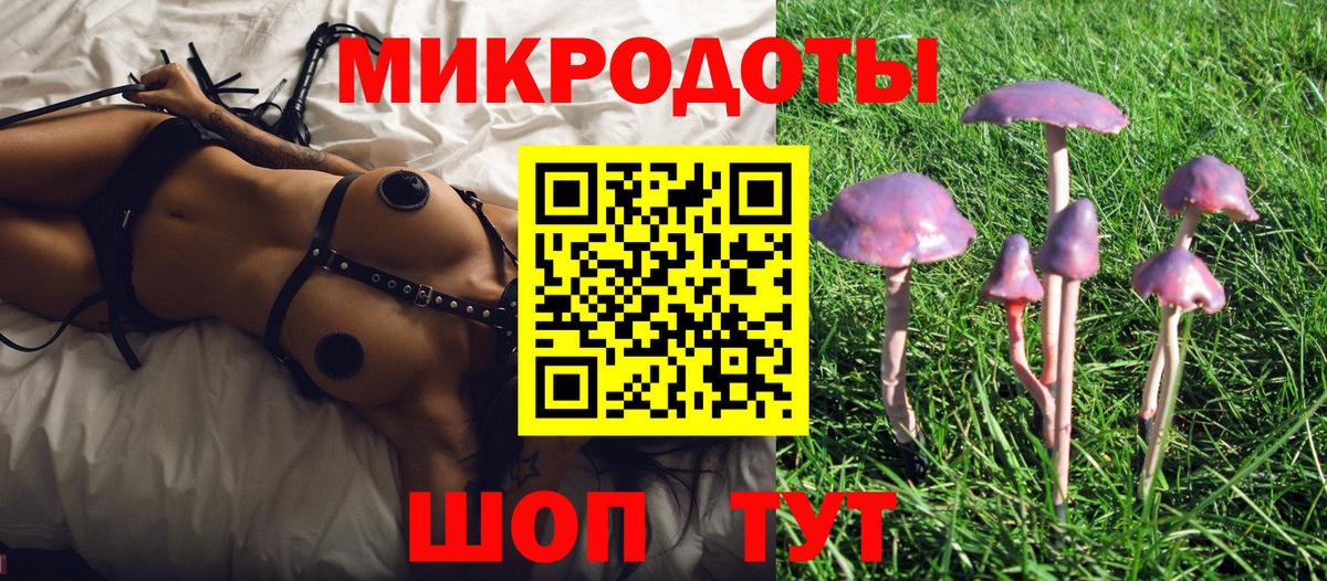 Галлюциногенные грибы мицелий Верхняя Пышма
